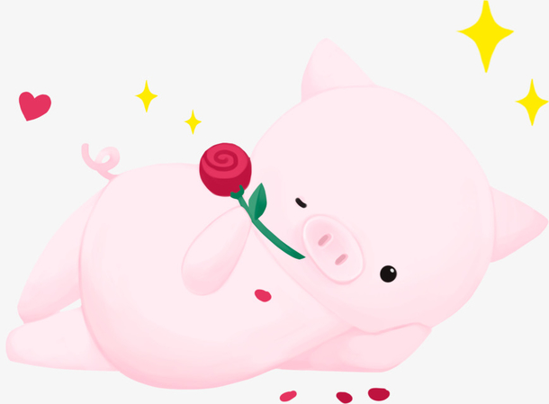 求婚小猪玫瑰