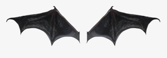 蝙蝠翅膀