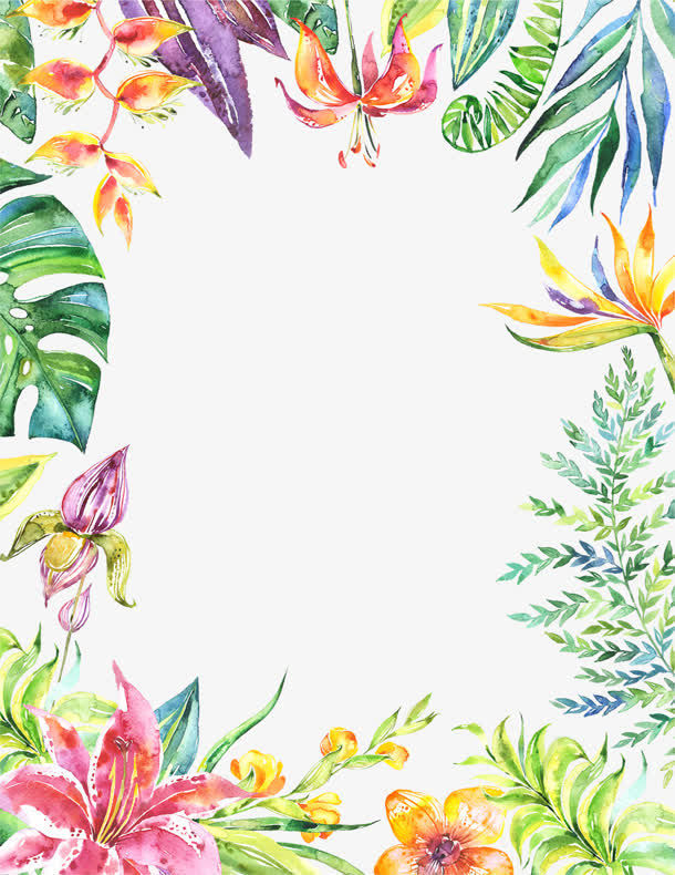 手绘彩色热带植物装配边框
