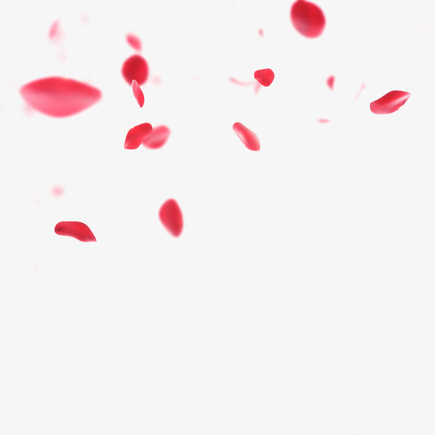 设计海报红色花瓣效果漂浮