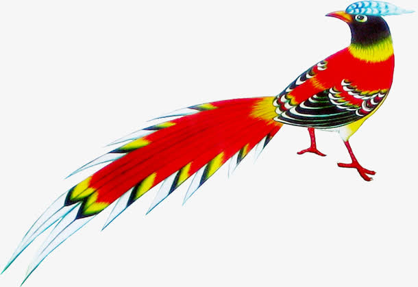 手绘红色美丽孔雀动物