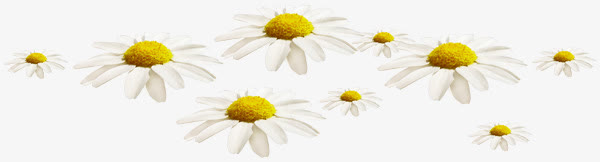 白色花朵漂浮装饰