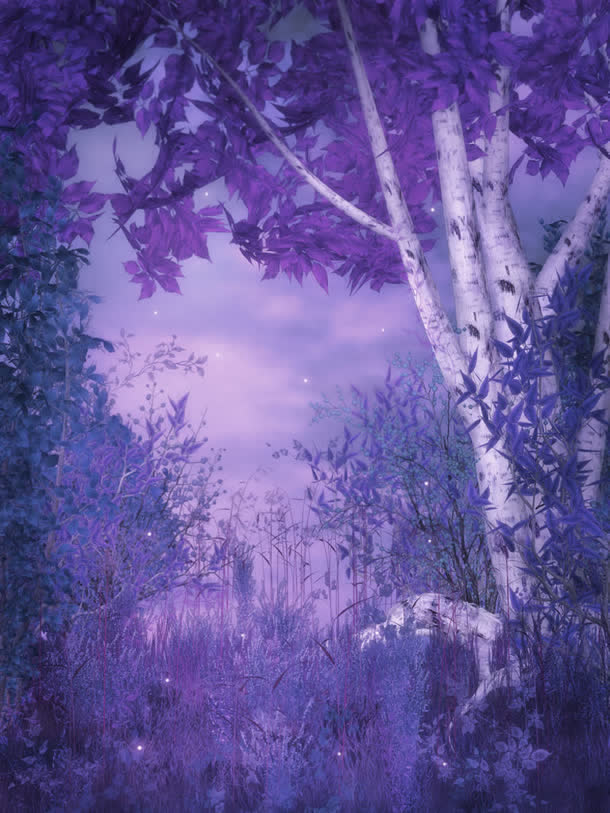 紫色神秘夜晚树林