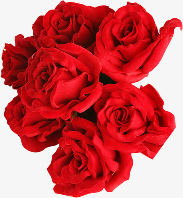 红色玫瑰礼物素材