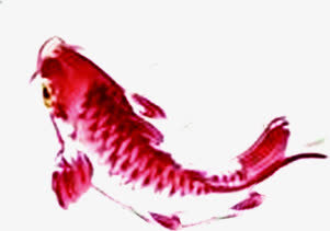 水彩手绘红色鲤鱼造型