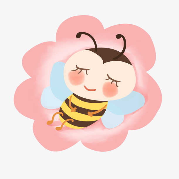 花朵上睡觉的小蜜蜂