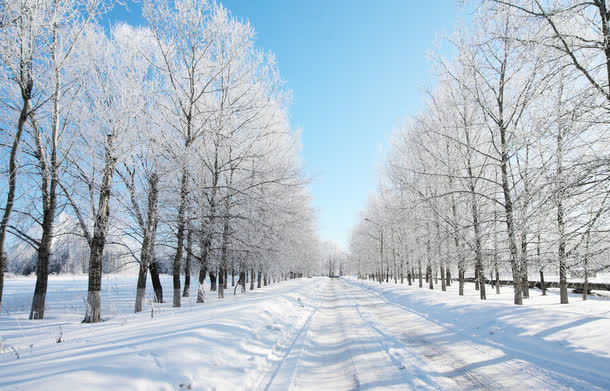高清摄影合成效果白色的雪地森林
