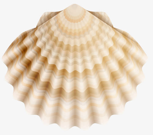 海洋生物贝壳免抠素材