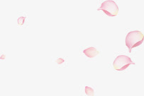 漂浮的粉色花瓣海报