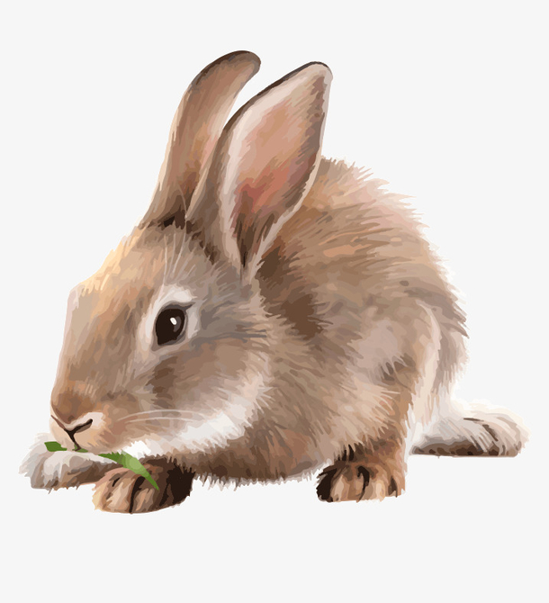 水彩手绘可爱小白兔小动物卡通免