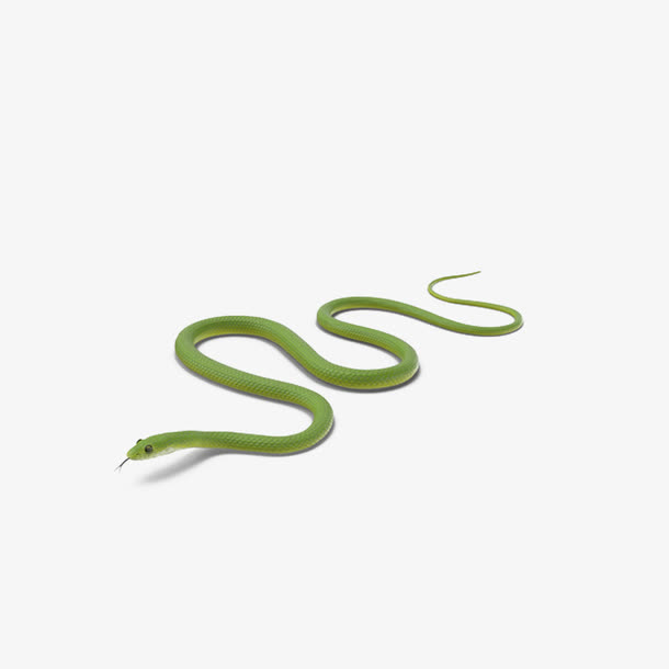 绿色蛇爬行