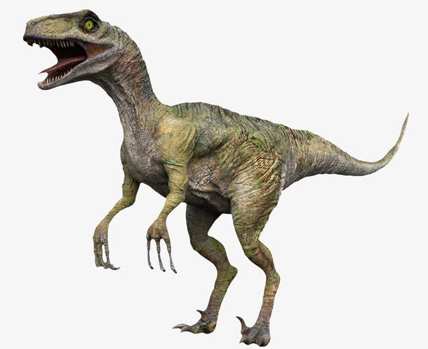 尖齿利爪3D恐龙