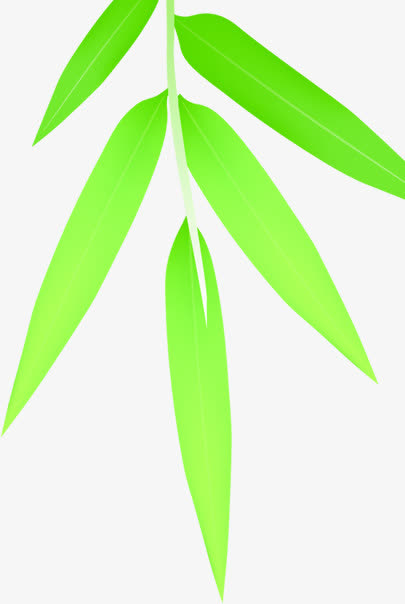 绿色竹叶叶子树枝