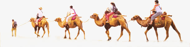 骆驼队列和人物素材