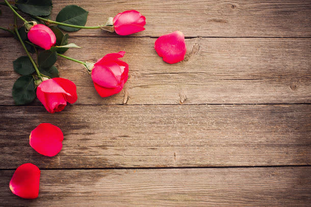 木板上的玫瑰花