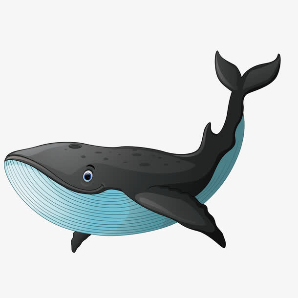 黑色大鲸鱼