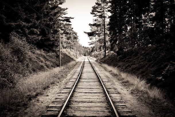 黑白树林铁道铁路背景