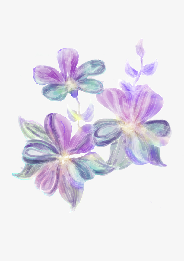 蓝紫色透明花 梦幻