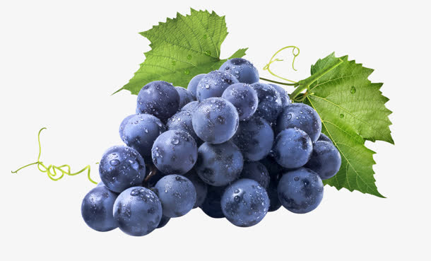 新鲜紫色成熟葡萄