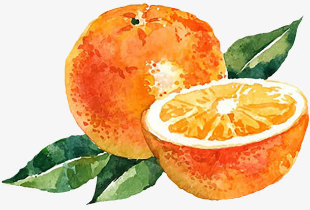 手绘水彩橙子
