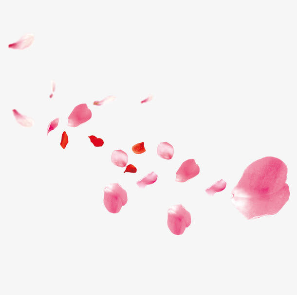 粉红色的花瓣免抠图