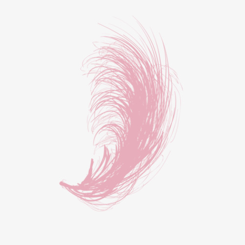 深粉色的羽毛