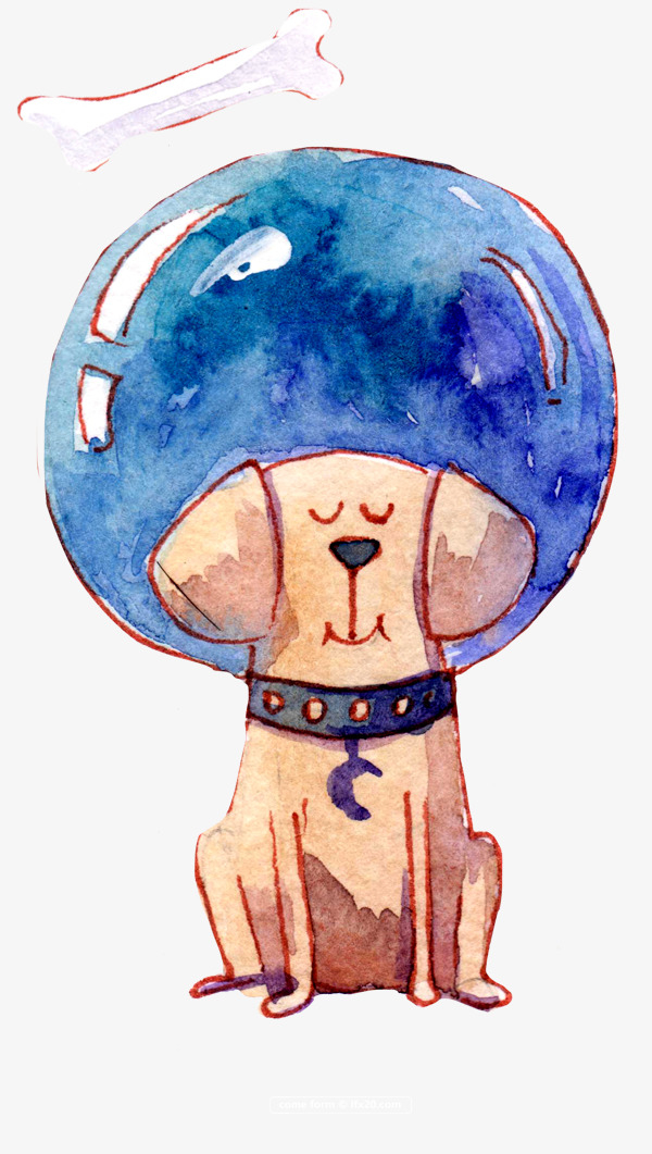 彩绘太空狗狗