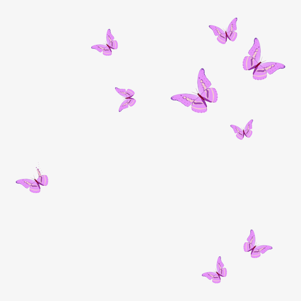 粉紫色展翅蝴蝶
