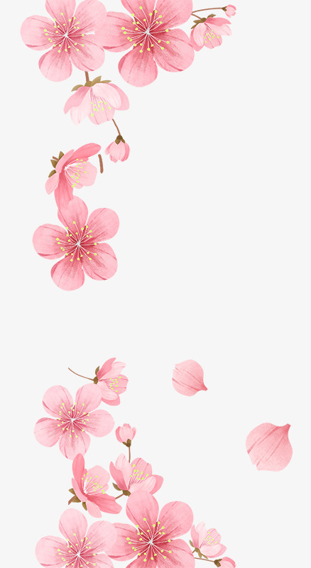 桃花花蕊粉色水彩