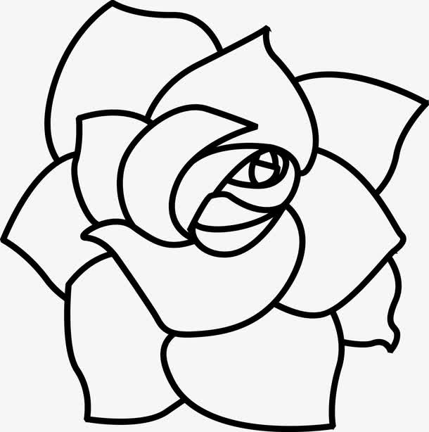 手绘盛开的玫瑰花瓣图