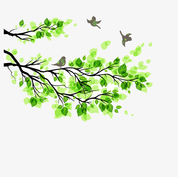 绿叶树枝小鸟