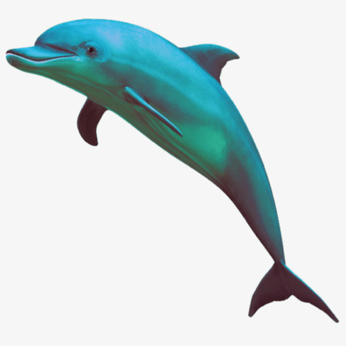 蒸汽波风格可爱海豚