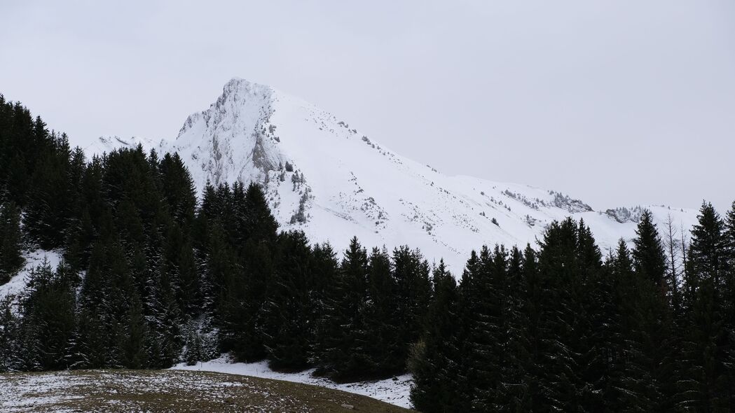 3840x2160 山 雪 树 景观 斜坡 冬季壁纸 背景4k uhd 16:9