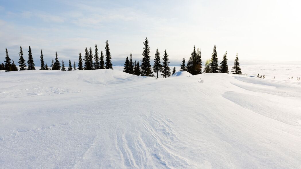 3840x2160 雪 树 雪堆 景观 冬季壁纸 背景4k uhd 16:9