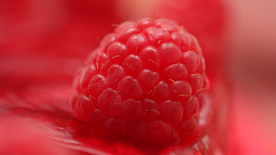 3840x2160 树莓 宏 浆果 红色壁纸 背景4k uhd 16:9