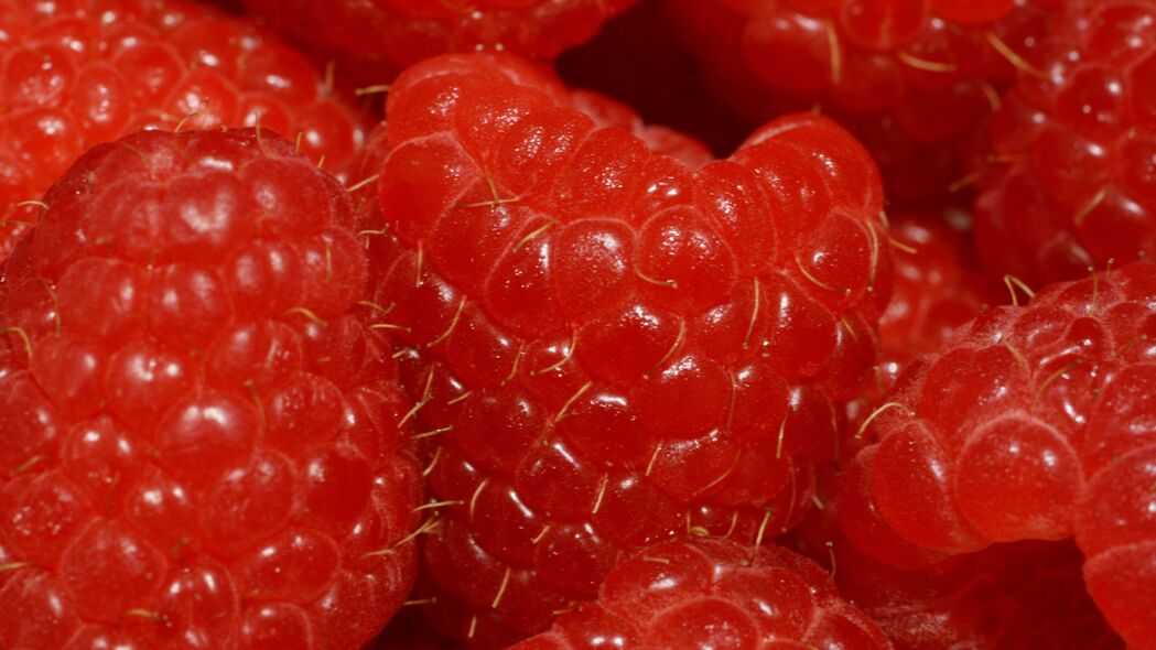 3840x2160 树莓 浆果 宏观 红色 成熟 4k壁纸 背景图片 uhd 16:9