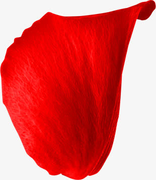 红色花瓣表面高清合成