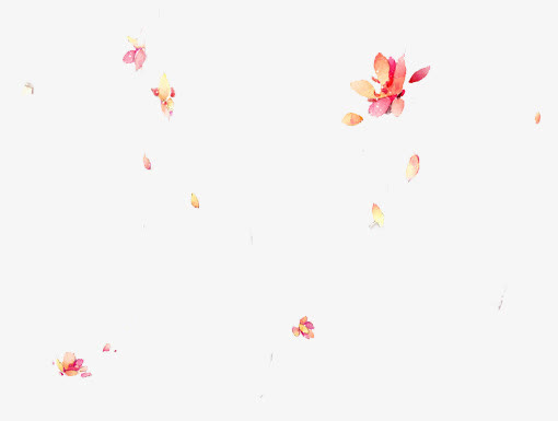 飞舞花瓣彩绘漂浮