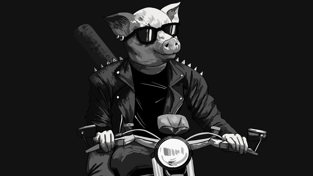 3840x2160 猪 太阳镜 摩托车 摩托车 艺术 黑白 4k壁纸 uhd 16:9
