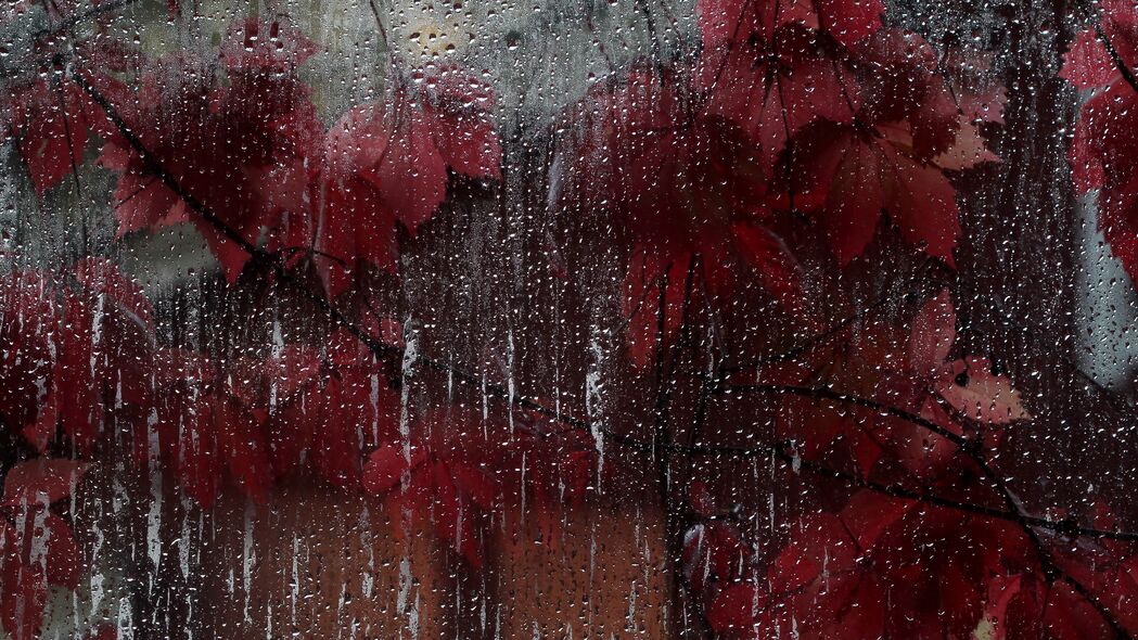 3840x2160 玻璃 水滴 树叶 湿 红色 4k壁纸 uhd 16:9