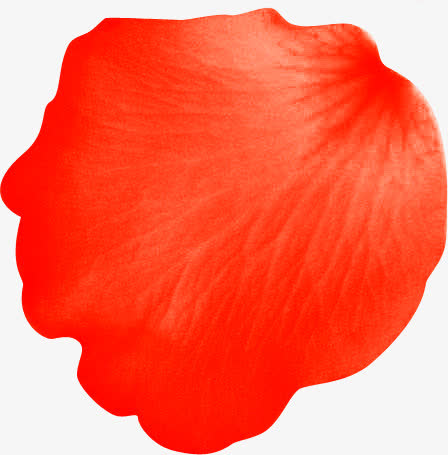 红色花瓣高清摄影表面