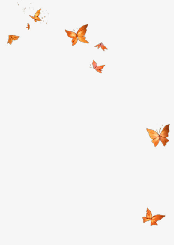 小清新飞舞的橙色蝴蝶
