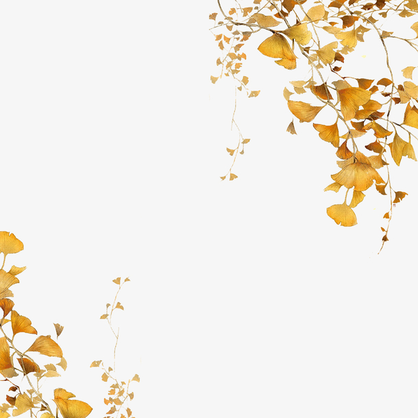 秋分秋季装饰画金黄银杏叶子