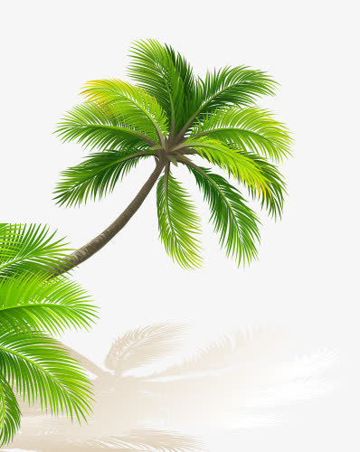 绿色椰子树宝贝背景