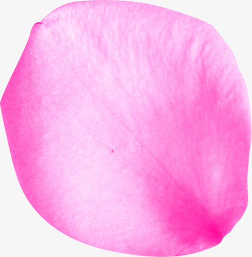 粉色高清摄影花瓣表面