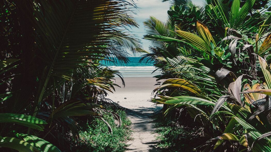 3840x2160 岛屿 热带 棕榈树 海滩 沙子 灌木丛 4k壁纸 uhd 16:9