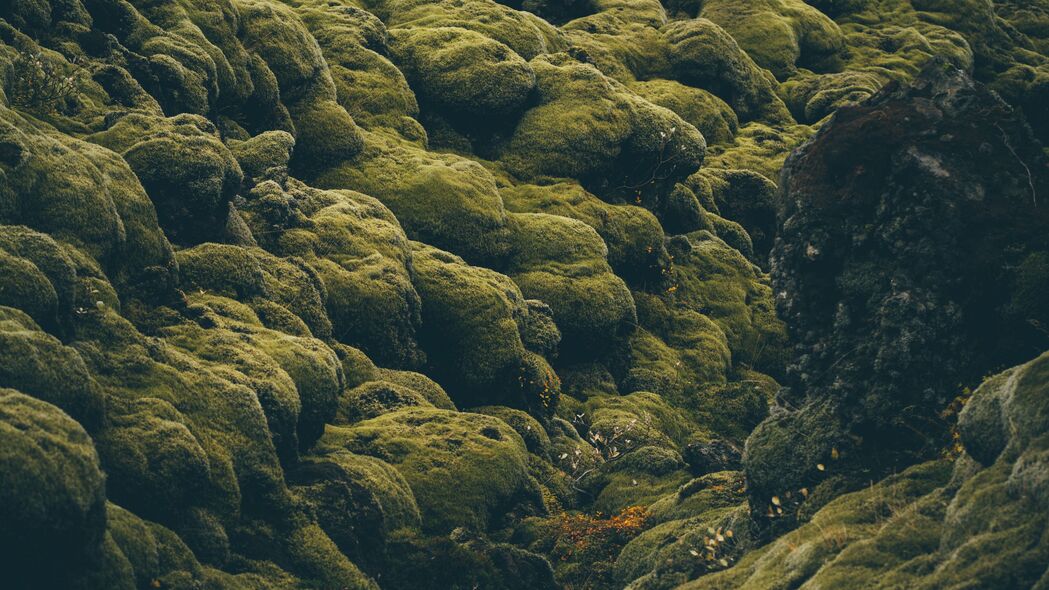 3840x2160 石头 苔藓 覆盖 冰岛 苍白 绿色 4k壁纸 uhd 16:9