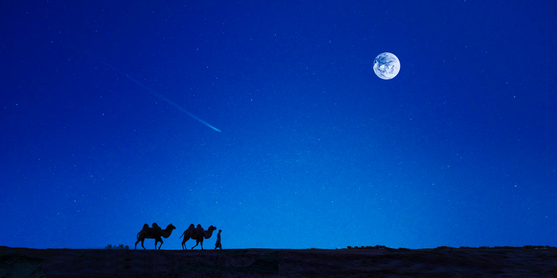 月下骆驼意境背景
