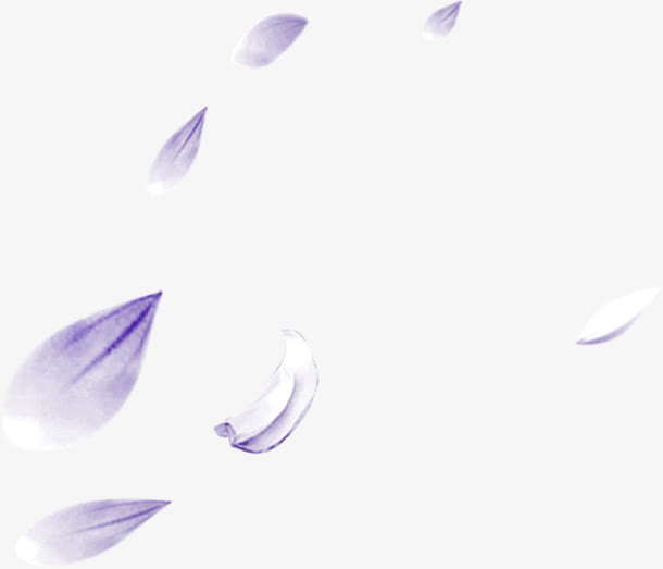 紫色飘扬花瓣海报效果
