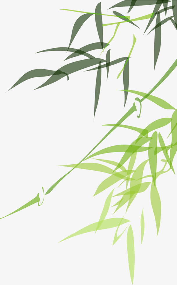绿色清新手绘竹叶